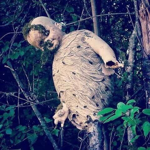 It's just a hornet's nest - Vespiary, Wasp, Doll, Horror, Kripota