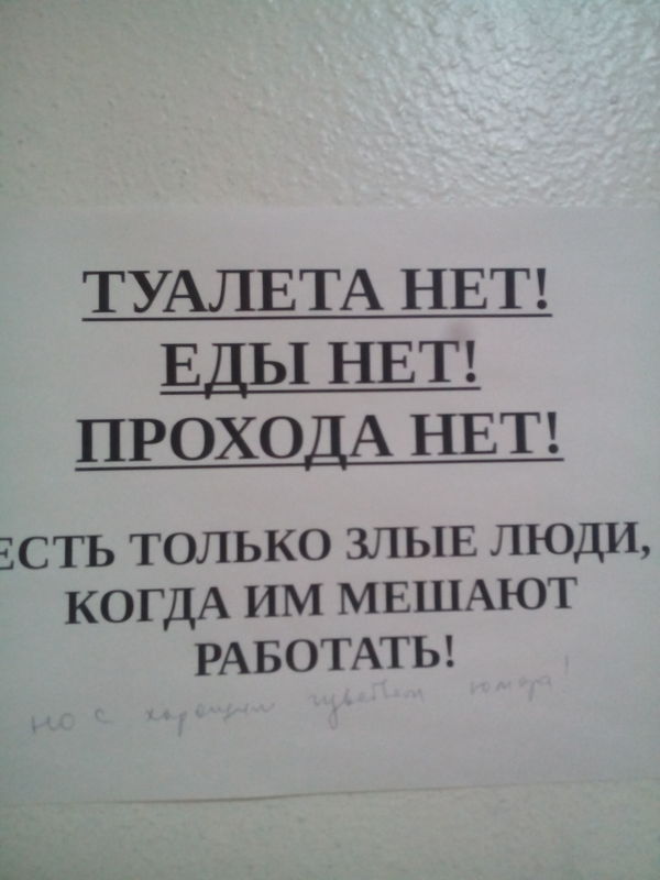 When you're tired of asking questions - My, Toilet, No food