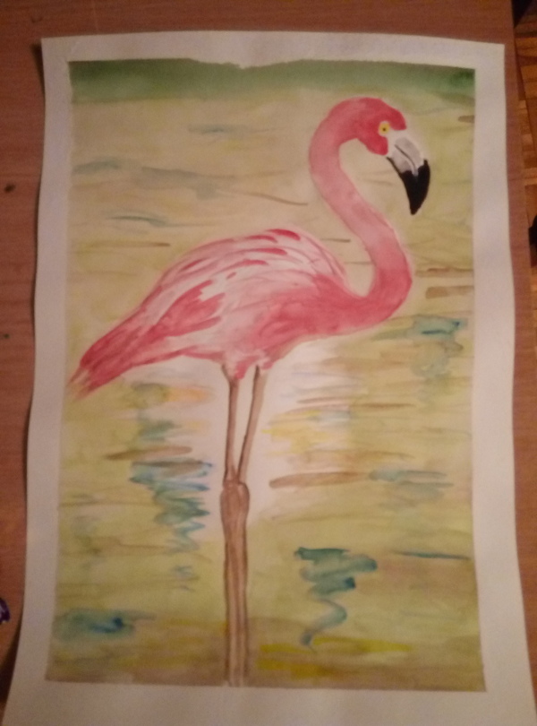 Flamingo - My, Flamingo, Painting, Watercolor