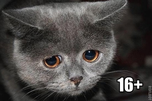 Лишь бы что-то запретить...