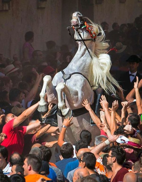 accidental renaissance. - Horses, Crowd, Renaissance, Renaissance, Comparison, Photo, Painting