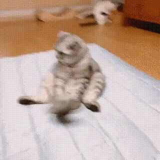 Don't go.. It's a trap