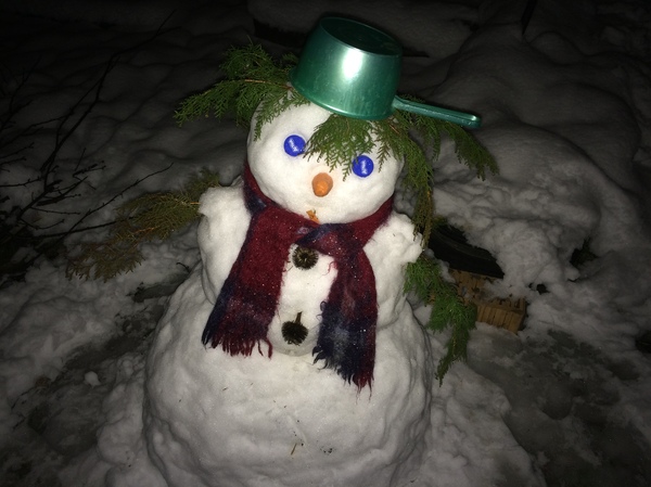 Two-faced snowman. - My, My, snowman, Winter, Grandmother, Idea, Creative people