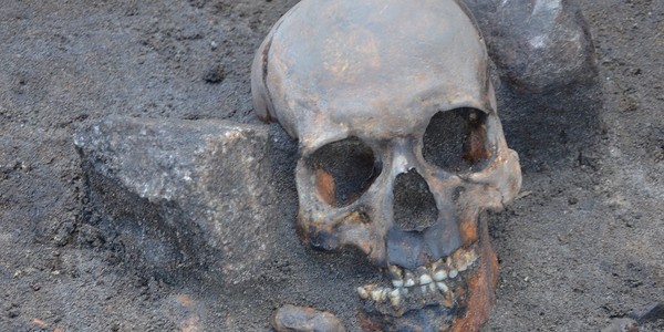 With a brick in his mouth: vampire burials found in Poland - Anthropogenesis, Anthropogenesis ru, The science, Vampires, Middle Ages