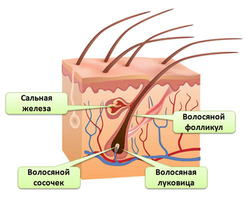 Репродуктивная эндокринология у мужчин