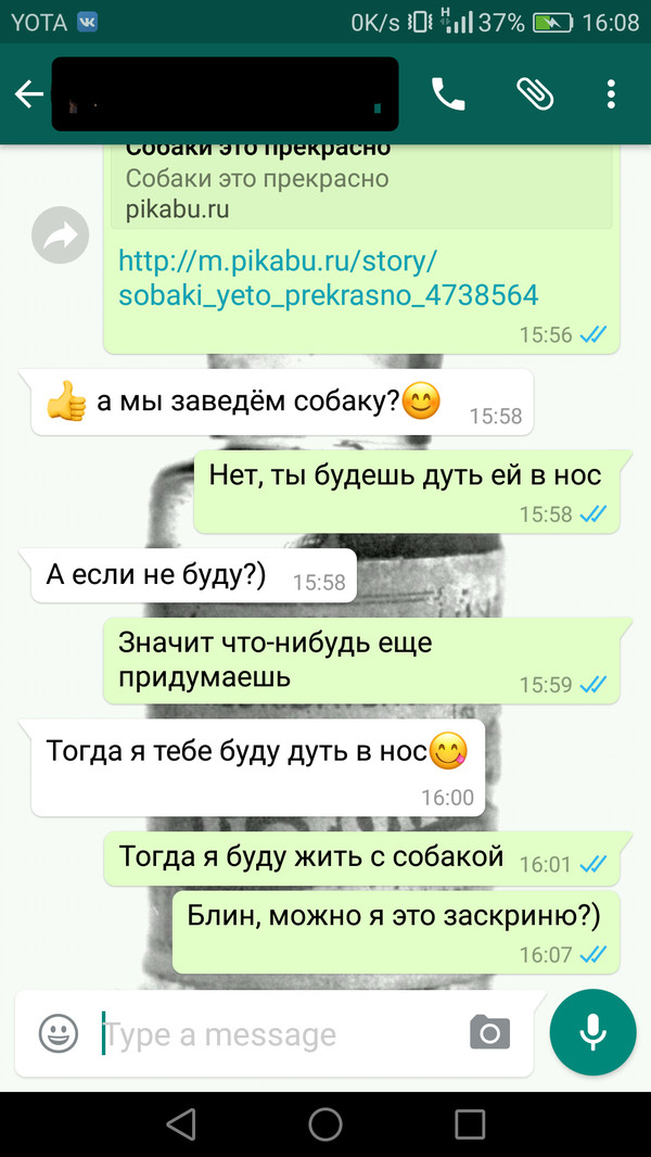 Навеяно постом - Моё, Whatsapp, Собака, Переписка