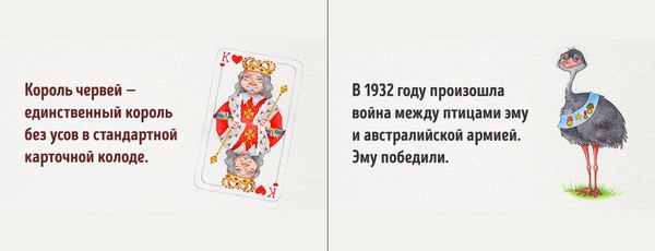 самый тупой день в мире. Смотреть фото самый тупой день в мире. Смотреть картинку самый тупой день в мире. Картинка про самый тупой день в мире. Фото самый тупой день в мире