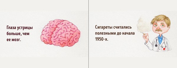 самый тупой день в мире. Смотреть фото самый тупой день в мире. Смотреть картинку самый тупой день в мире. Картинка про самый тупой день в мире. Фото самый тупой день в мире