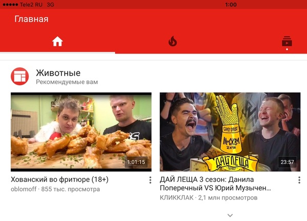 Harsh YouTube to Khovan and Druja - Yury Khovansky, Oblomoff, Screenshot, Animals, Youtube