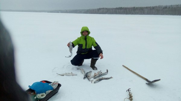 Удачное рождество! - Моё, Рыбалка, Рождество, Отдых, Отвели душу, Улов