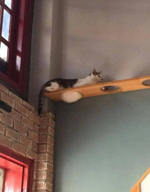  , , 