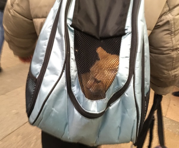 ��� � �������