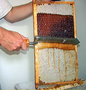 Как достают соты. Приспособления для распечатки медовых рамок. Медовая рамка. Рамка меда в сотах. Приспособление для пчелиных рамок.