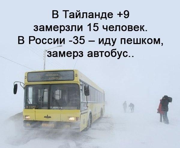 This is Russia baby! - Humor, Picture with text, Winter