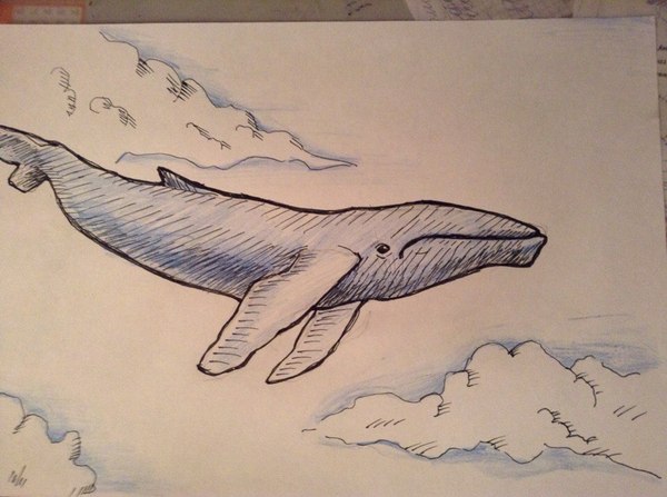 just a flying whale - My, Drawing, Whale, Mikolart