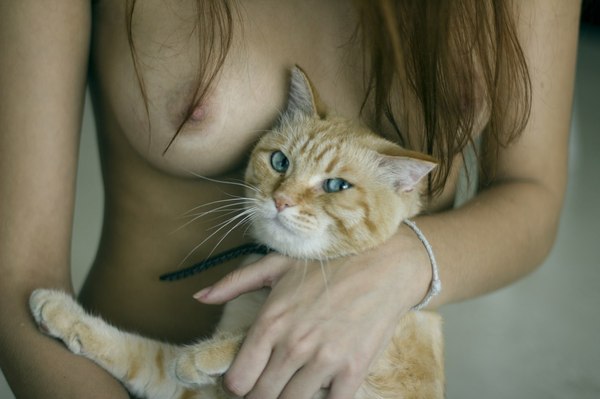 Sight - NSFW, cat, Boobs, Strawberry, Looks like