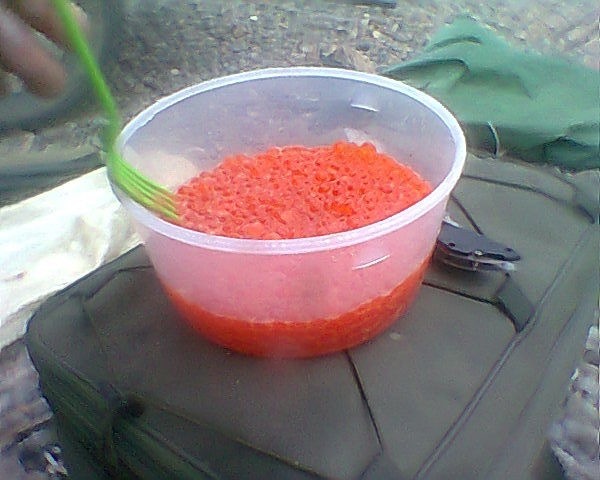 Red caviar... Caught, butchered... 5 minutes and such deliciousness!!! - Primorsky Krai, Fishing, Caviar, Relaxation, Longpost