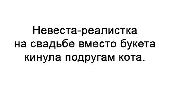 Реальная жизнь - Свадьба, Цитаты, 40 кошек