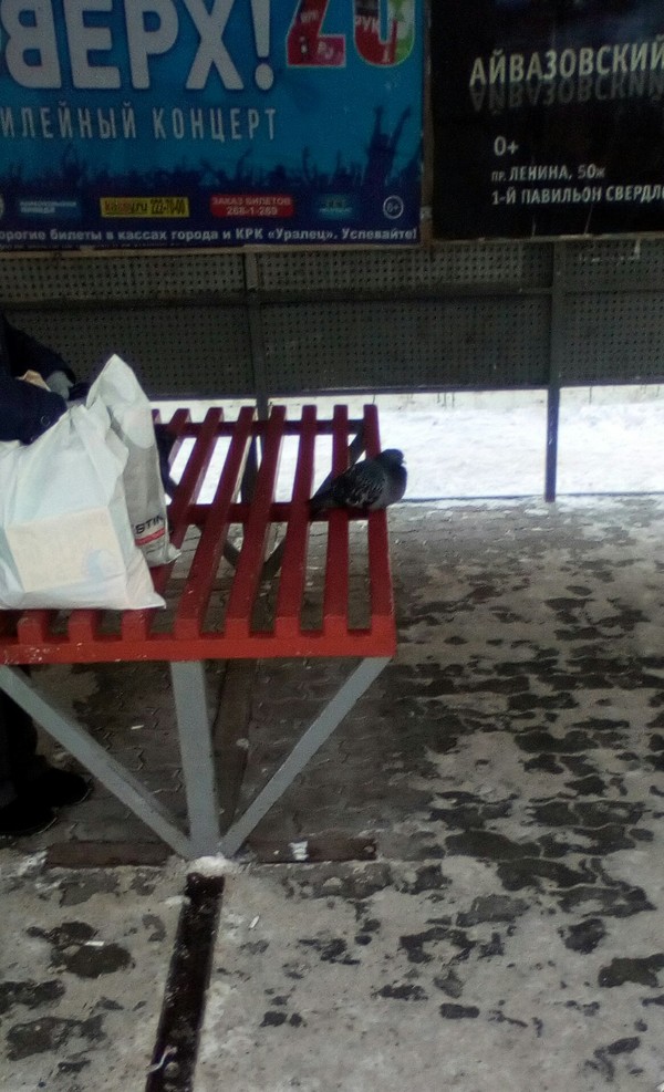 ����� ���� ���������� ����� �����.