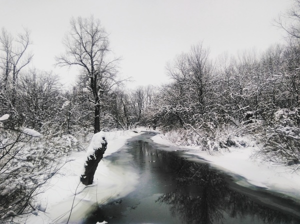 �� ����������� ��������� ������