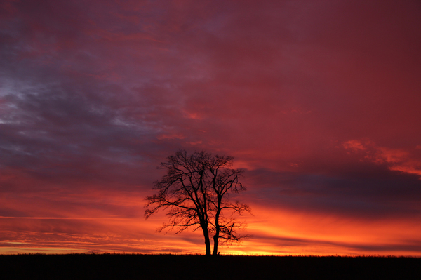 Golden hour at the end of a gray day... - My, Silhouette, Sunset, The photo, Landscape, Longpost