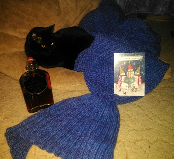 Second day of joy - My, New Year, New Year's gift exchange, Gift exchange, Secret Santa, cat