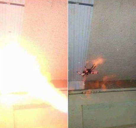 Spiders in Australia - Spider, Photo, Fire, Australia