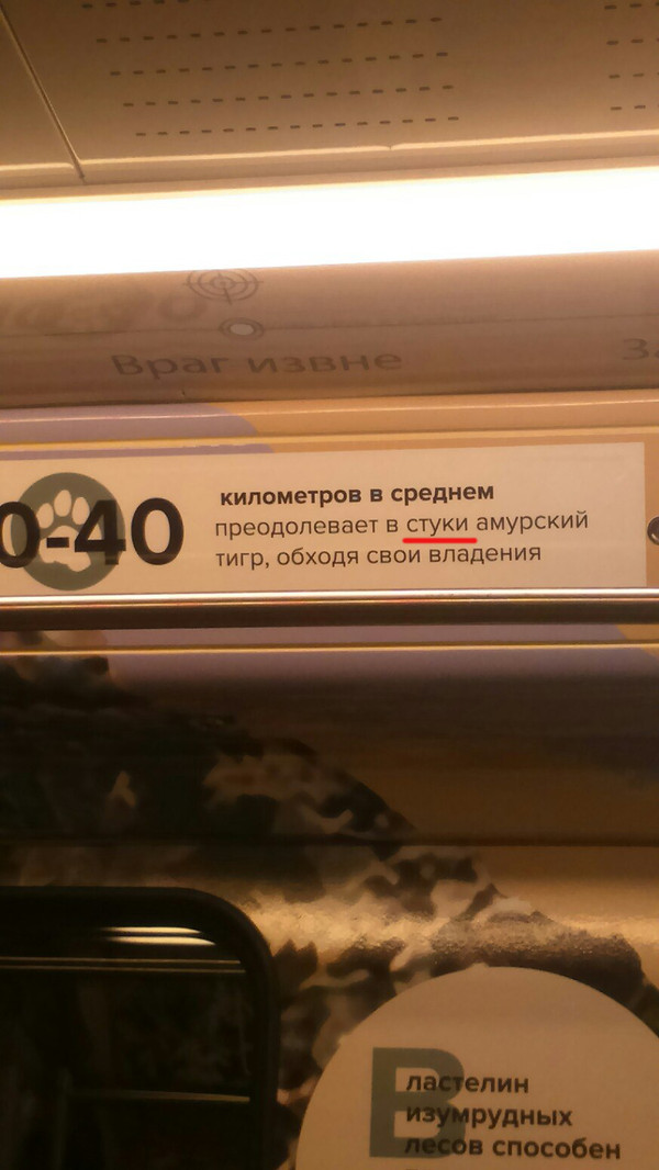 Kilometers to where? - My, Moscow Metro, Humor, Images, My