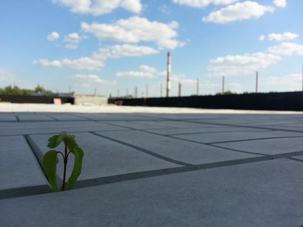 Никогда не сдавайся!