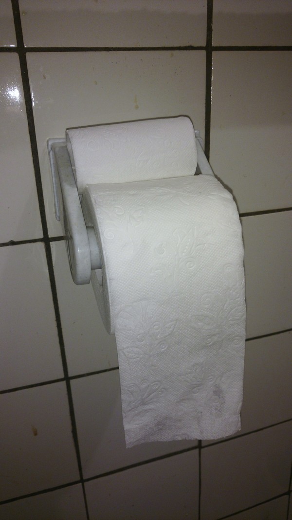 When help is nowhere to be found. - My, Photo, Help, Toilet paper, Toilet