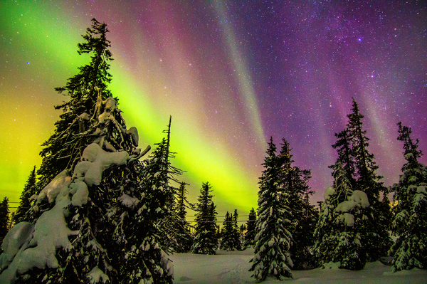 Northern Lights in Finnish Lapland - Lapland, Finland, Photo, Interesting, beauty, Nature