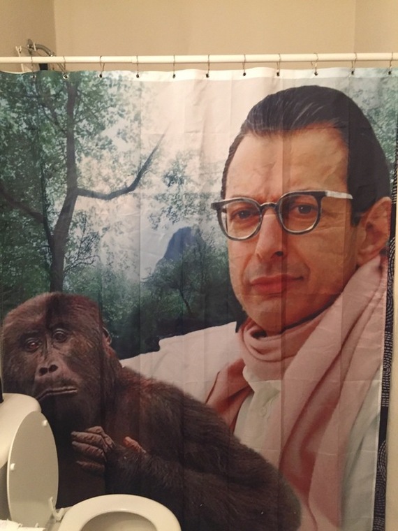 Father bought a new bath curtain. I'm not sure what to think about it yet. - Photo, Jeff Goldblum, Monkey, Bath, Curtains, Reddit