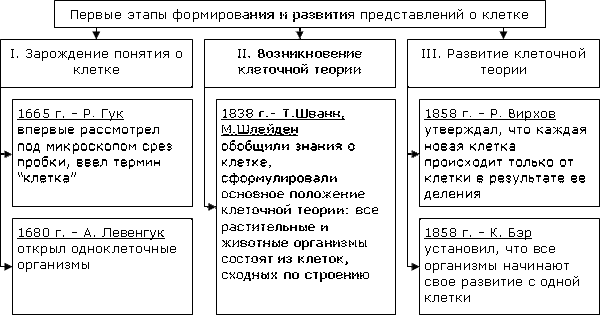     , , ,  , ,  , 