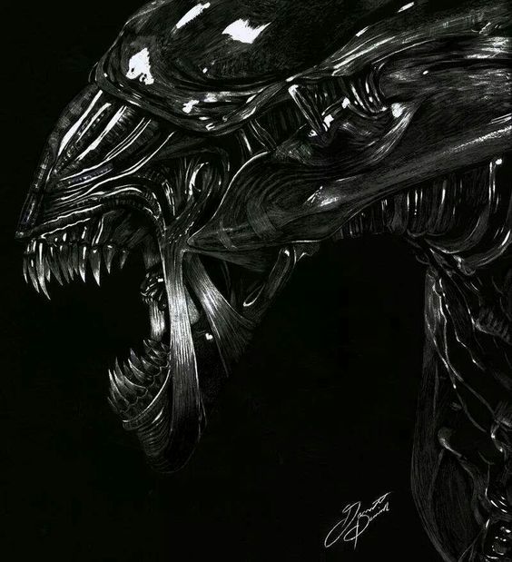 Xenomorph - Stranger, Xenomorph, Photo, Art, Skeleton, Longpost