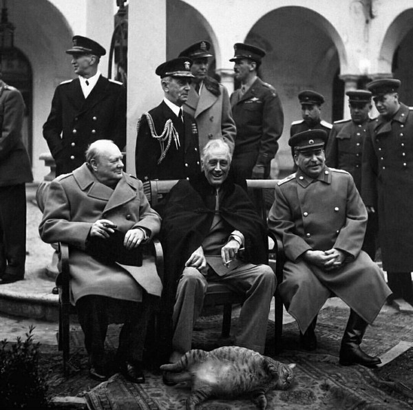 Historical photo. - Photoshop, Mustachioed - Striped, cat, Historical photo, Stalin, Winston Churchill, Theodore Roosevelt, Yalta Conference
