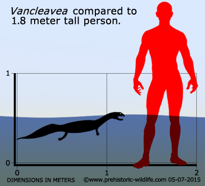 The lizard who really aspired to be an otter - My, Triassic period, Reptiles, The science, Paleontology, Biology, , Mesozoic, Longpost