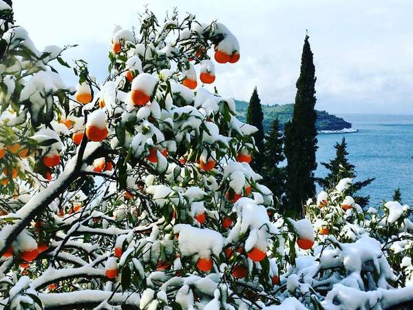 Croatia, Dubrovnik, January 2017 - Nature, Winter, Snow