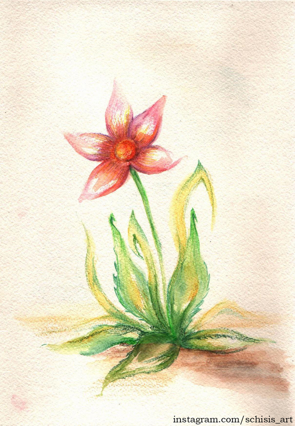 watercolor flower - My, Creation, Drawing, Watercolor, Watercolor pencils, Flowers, Plants, Sketchbook, Sketch
