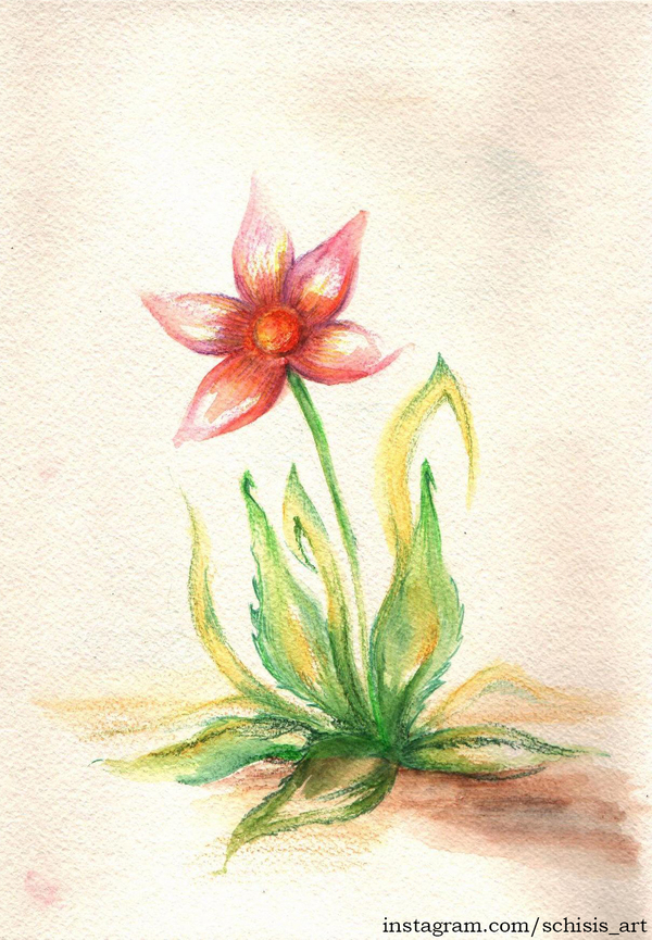 watercolor flower - Drawing, My, Creation, Flowers, Watercolor pencils, Sketchbook, Watercolor, Sketch, Plants