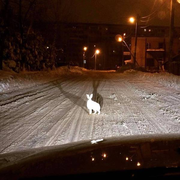 ������� ���