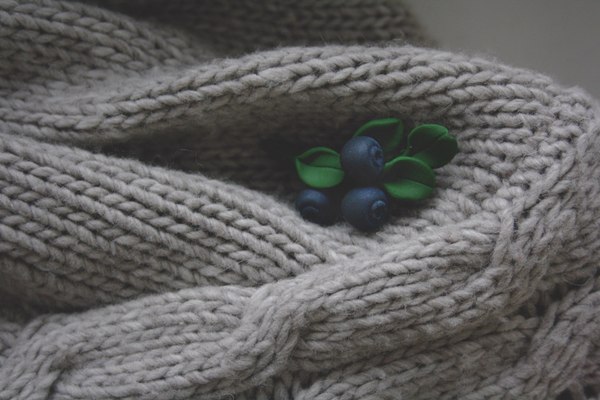 blueberry brooch - My, My, Blueberry, Brooch, Polymer clay