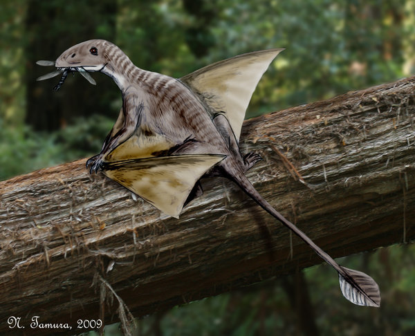 Air conquest. - My, Paleontology, Pterosaurs, Triassic period, Flight, Evolution, Longpost