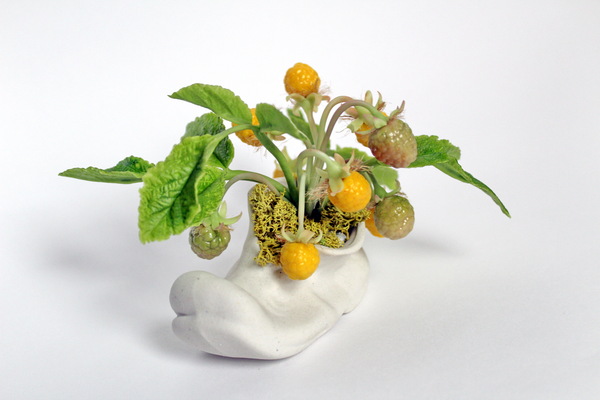 yellow raspberry - My, Raspberries, Polymer clay, Лепка, Hobby