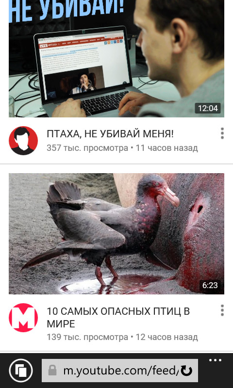 Larin, Bird! - Larin, Youtube, Feed, Humor, Coincidence? do not think, Rapper Ptah
