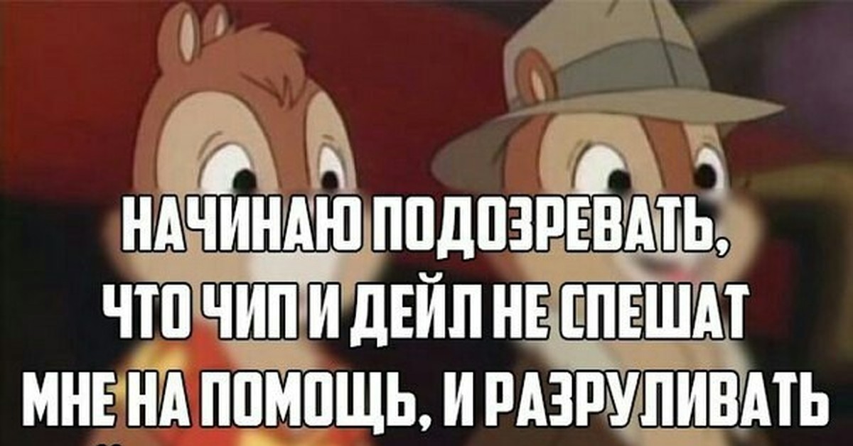 Бумаги, картинки чип и дейл не приколы картинки