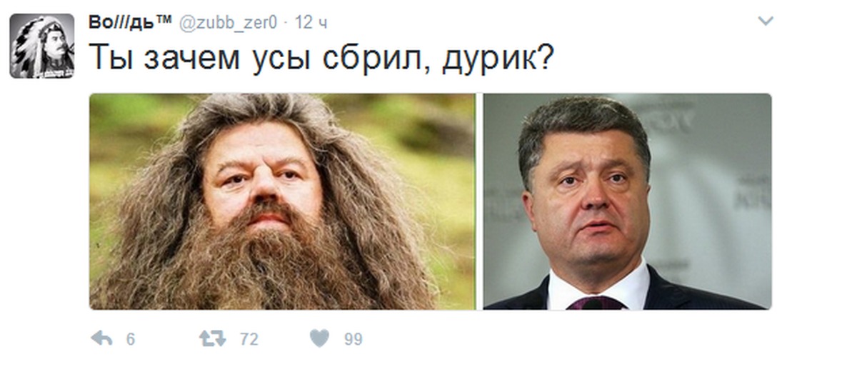 Зачем усы. Порошенко Хагрид. Зачем усы сбрил дурик. Зачем Володька сбрил усы. Картинка зачем Володька сбрил усы.