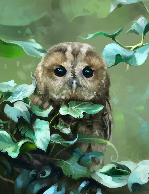 Art by SanDra. [Virink] - Art, Owl, Birds, Virink