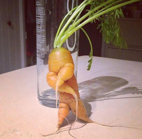 What would you name her new album? - Carrot, Style