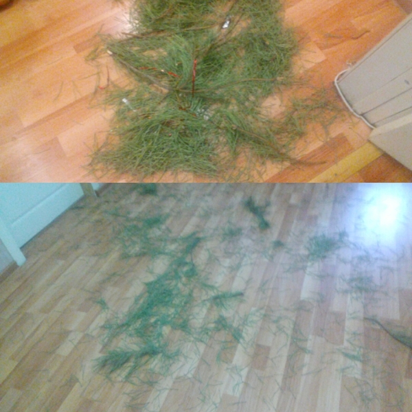 Disadvantages of a live Christmas tree And so on throughout the apartment. Even on the shelves. - , 