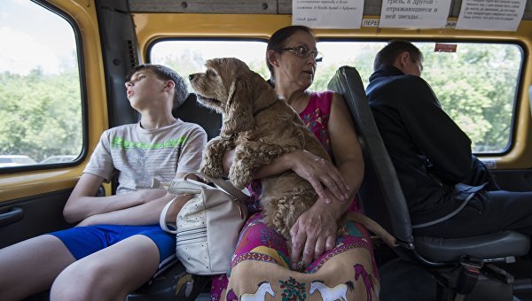 When I get off the bus, I say... - Minibus, Transport, Пассажиры, Thank you, Driver, Dog, 